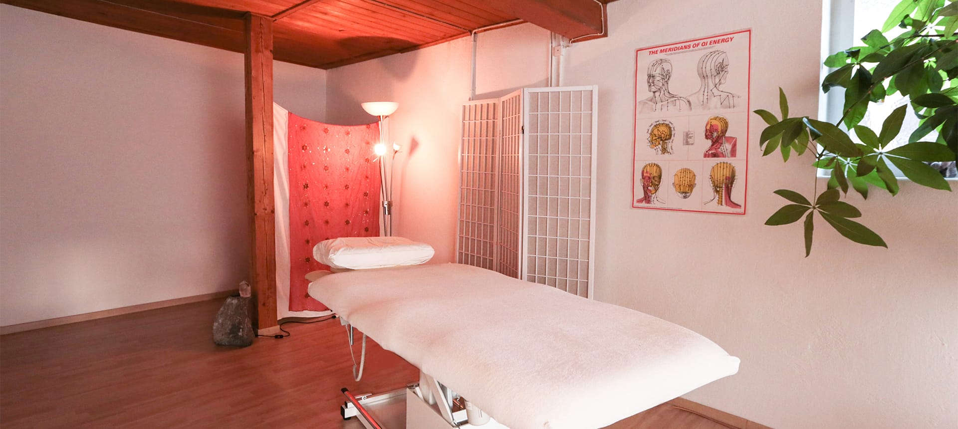 Medizinische Massage - Akupressur Thun
